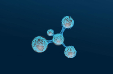 DNA Strand